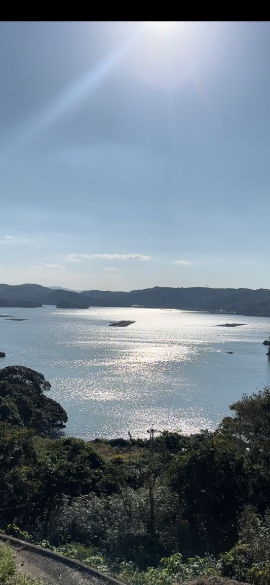 石田地区から見る仮屋湾