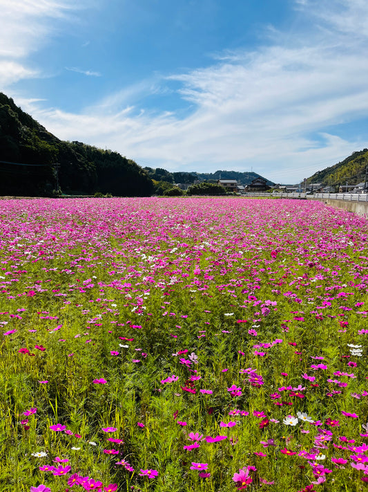 玄海町へいらっしゃ〜い😊